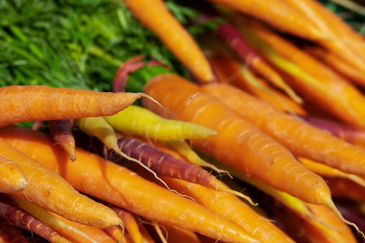 ЦЕНЫ НА ПРОДУКТЫ: РОСТ ПРОИЗВОДСТВА НЕ ПОМОГ ИХ УДЕРЖАТЬ