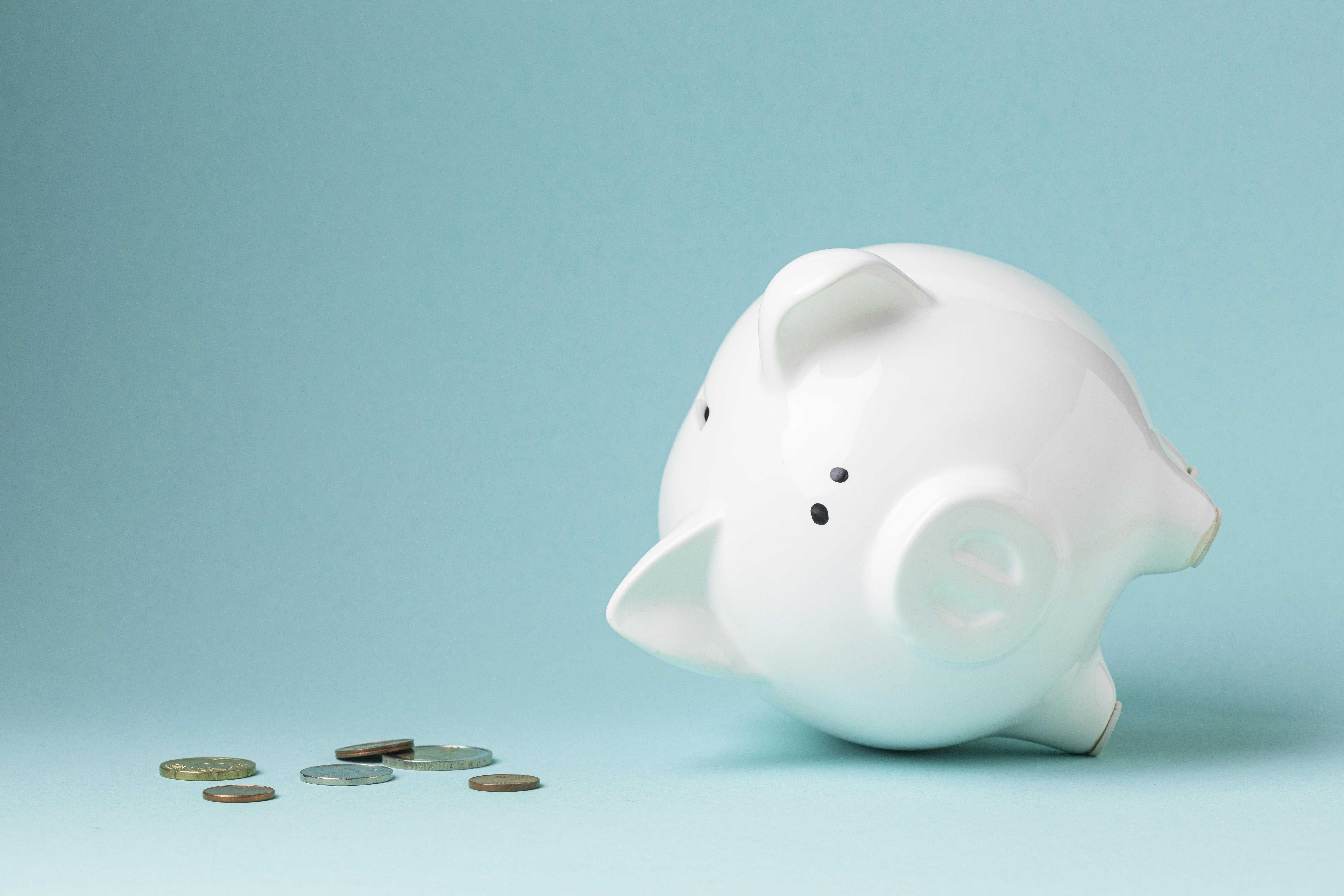 finance-elements-with-white-piggy-bank.jpg